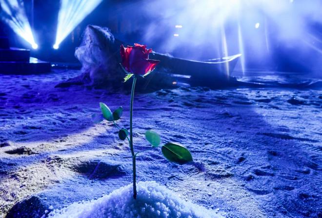 “201314大海爱无止境”文艺之夜在湛江徐闻南极村奇幻绽放(图2)